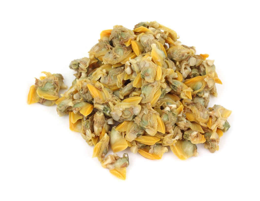 A collection of round, small, yellow tin clams on a white background.