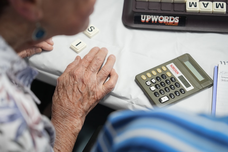 International Programme, Bingendore