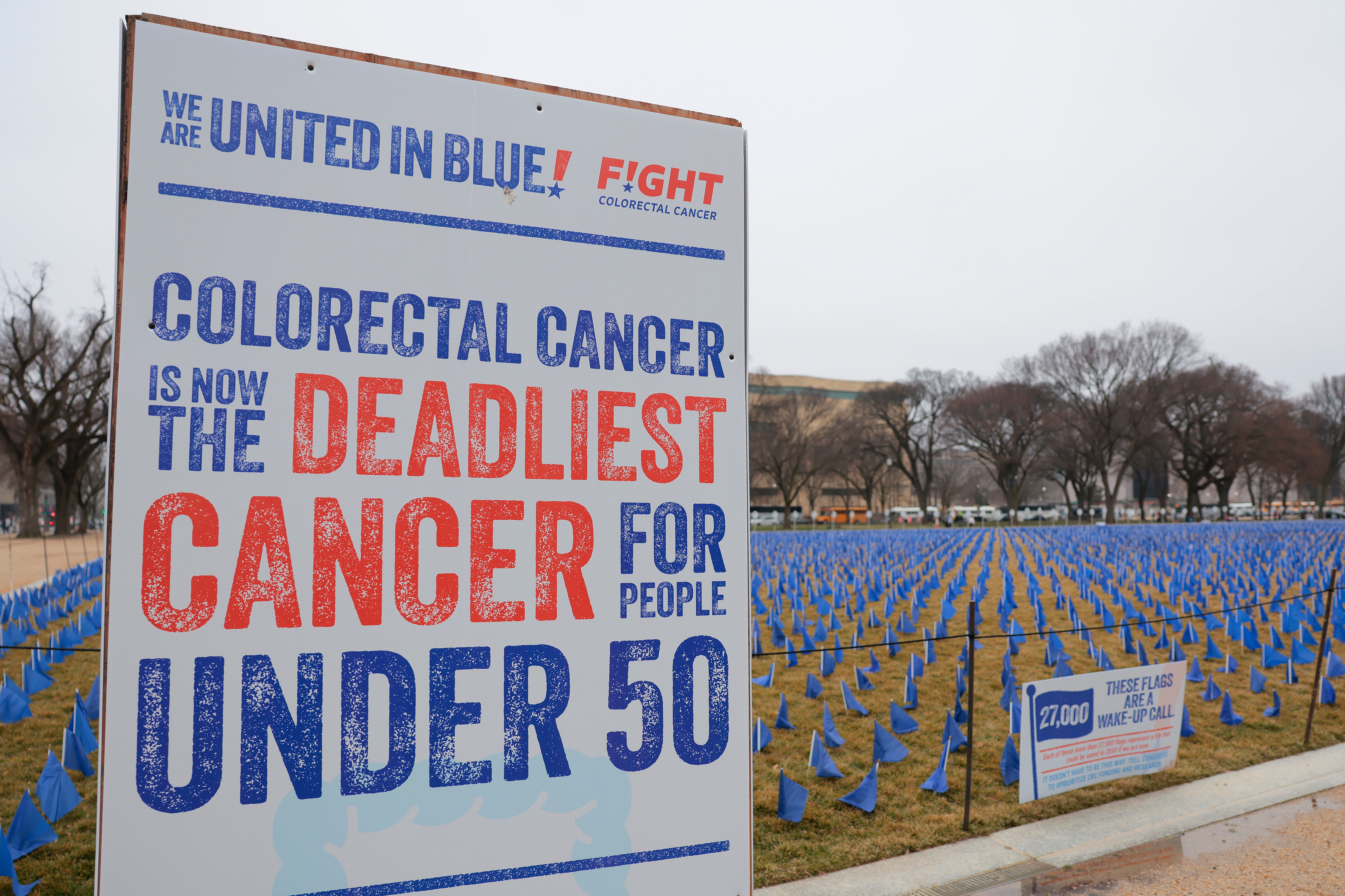 About 27,000 blue flags representing the lives that could be saved from colorectal cancer with more funding and research were seen earlier this month on the National Mall in Washington, DC. More than two million new cases are expected this year. GLP-1s have shown promise in reducing the risk of certain cancers, although more research is needed