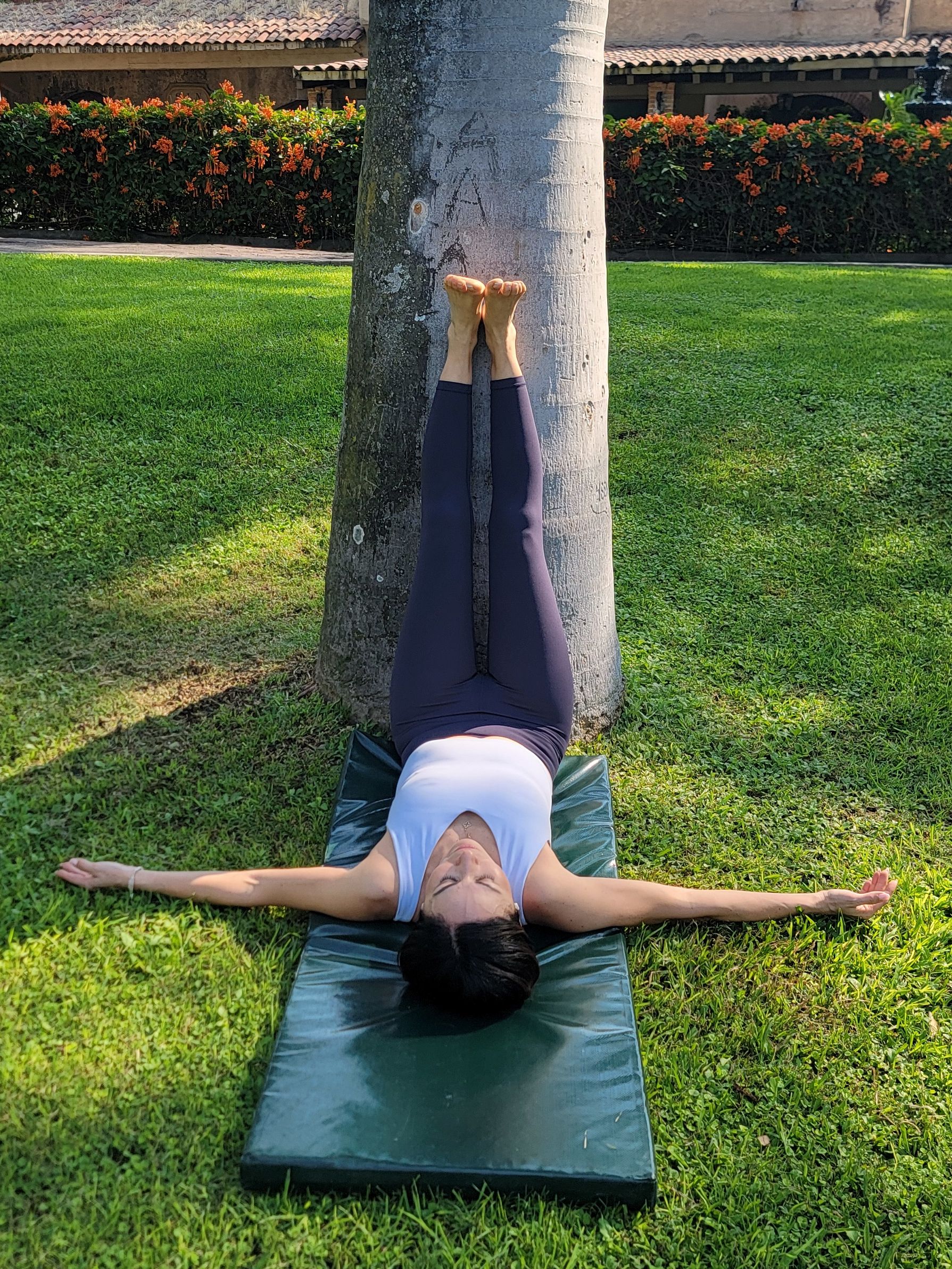Woman showing legs up a wall (vipritha karani) yoga pose using a tree